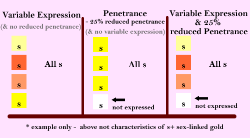 variable expression and reduced penetrance